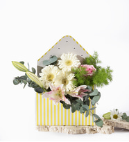 Sarı Çizgili Zarfta Beyaz Gerbera ve Pembe Lilyum