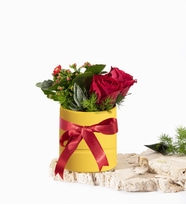 Sarı Polimer Saksıda Kırmızı Gül ve Kalanchoe