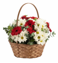 Kırmızı Gerbera ve Beyaz Papatya Çiçek Sepeti