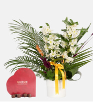 Beyaz Saksıda Dendrobium ve Kalp Gurme Lezzet