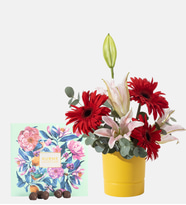 Sarı Saksıda Kırmızı Gerbera ve Gurme Lezzetler