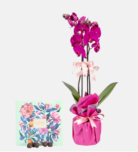 Lila Pembe Buketli Mor Orkide ve Gurme Lezzetler