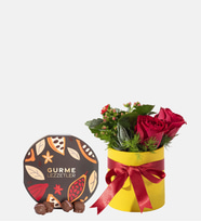 Sarı Polimer Saksıda Kırmızı Gül ve Gurme Lezzetler