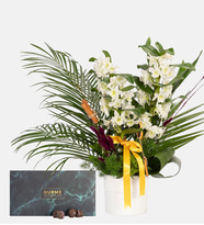 Beyaz Saksıda Dendrobium ve Gurme Lezzet