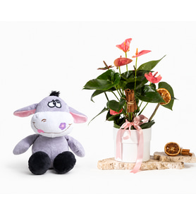 Beyaz Saksıda Pembe Antoryum ve Peluş Eşek
