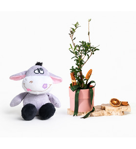 Pembe Saksıda Zeytin Ağacı ve Peluş Eşek
