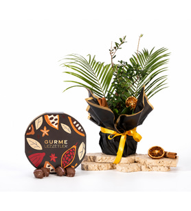 Buket Kağıtlı Saksıda Zeytin Ağacı ve Gurme Lezzetler