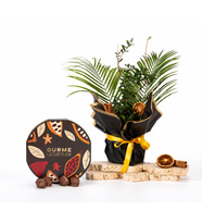 Buket Kağıtlı Saksıda Zeytin Ağacı ve Gurme Lezzetler