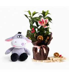 Buket Kağıtlı Pembe Lilyum ve Peluş Eşek