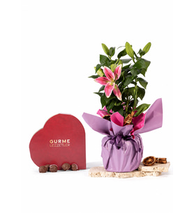Buketli Saksı Lilyum ve Gurme Lezzetler