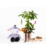 Pembe Saksıda Para Ağacı ve Peluş Eşek