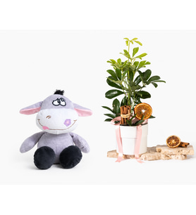 Beyaz Saksıda Pembe Schefflera ve Peluş Eşek