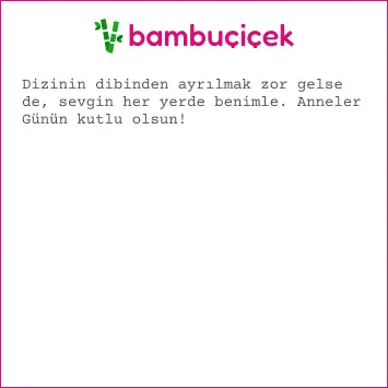 resimli anneler günü mesajları
