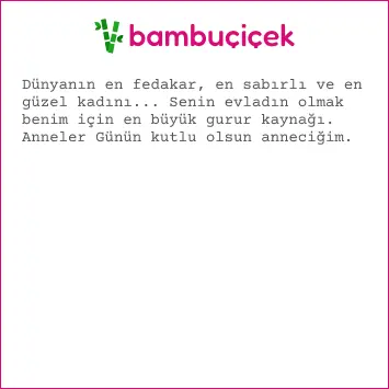 anneler günü mesajı