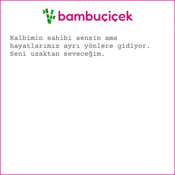 resimli ayrılık sözleri