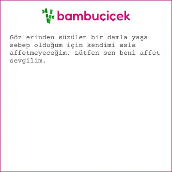 özür mesajı