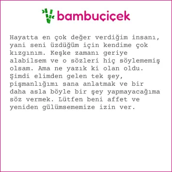 özür mesajları
