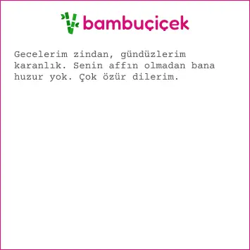 resimli özür mesajları