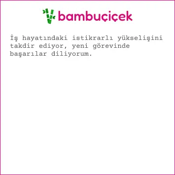 resimli yeni iş mesajları