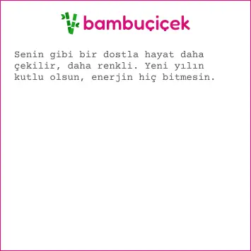 resimli yeni yıl mesajları