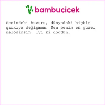 sevgiliye resimli doğum günü mesajları