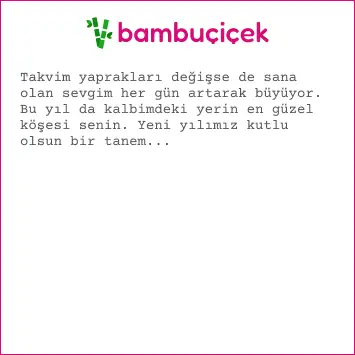 yeni yıl mesajı